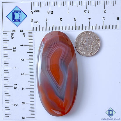Botswana Agate