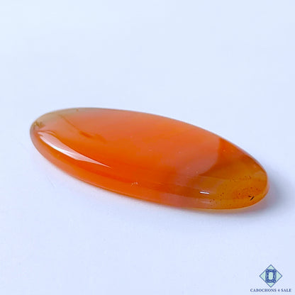 Botswana Agate