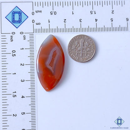 Botswana Agate