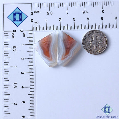 Botswana Agate
