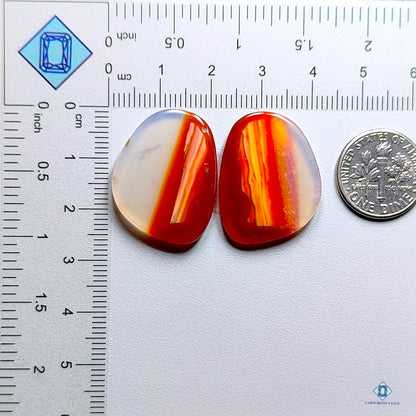 Botswana Agate Fancy Pairs