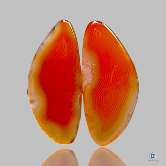 Botswana Agate