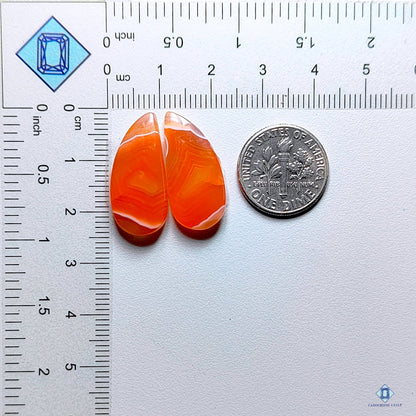 Botswana Agate Pear Pairs