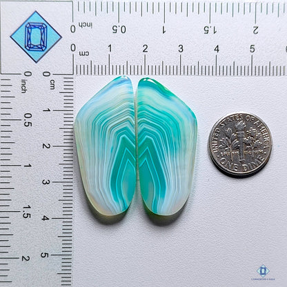 Botswana agate Fancy Pairs