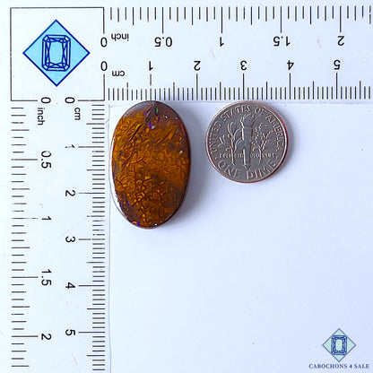 Boulder Opal