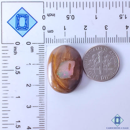 Boulder Opal