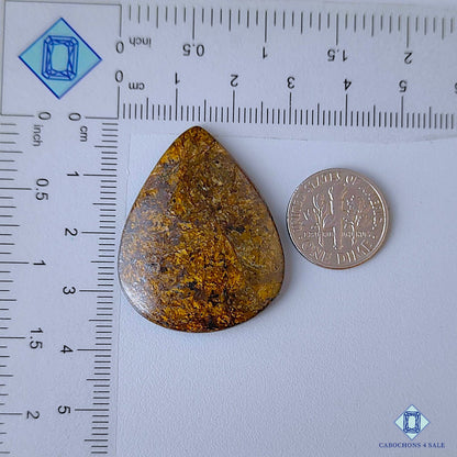 Bronzite