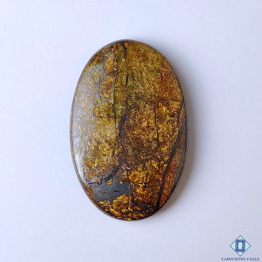 Bronzite
