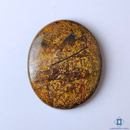 Bronzite