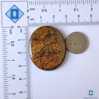 Bronzite