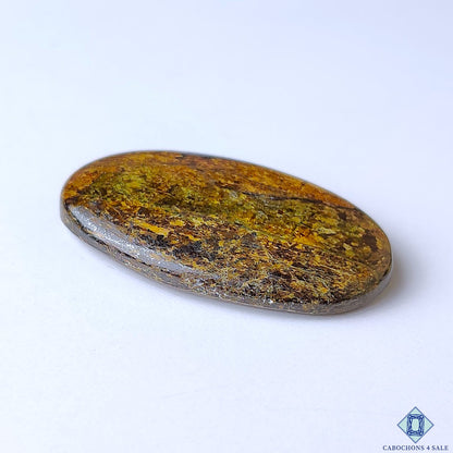 Bronzite