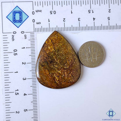 Bronzite