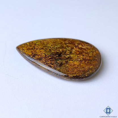 Bronzite
