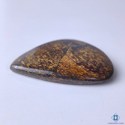 Bronzite
