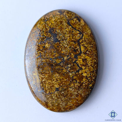 Bronzite