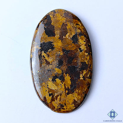 Bronzite