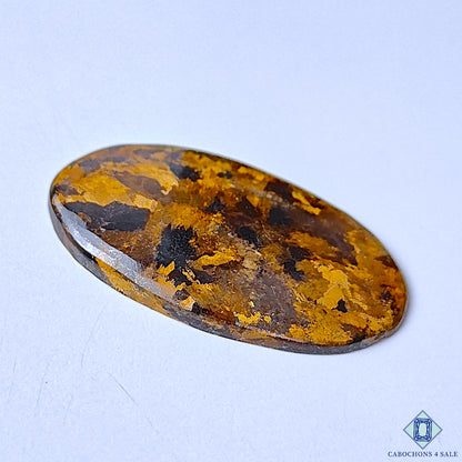 Bronzite