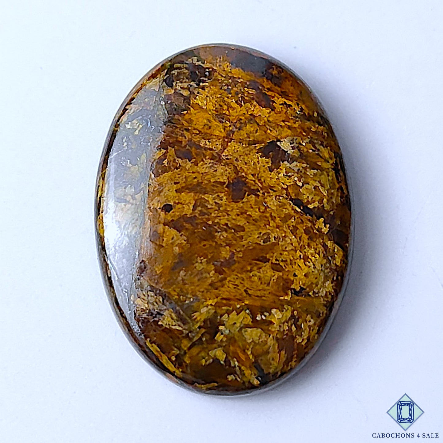 Bronzite