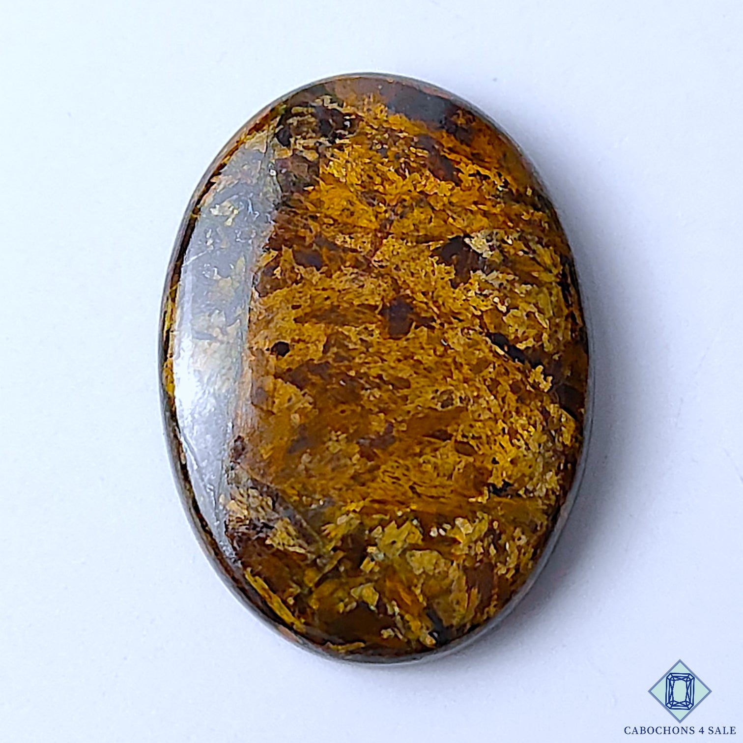 Bronzite