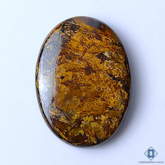 Bronzite