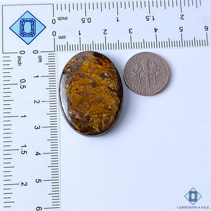 Bronzite