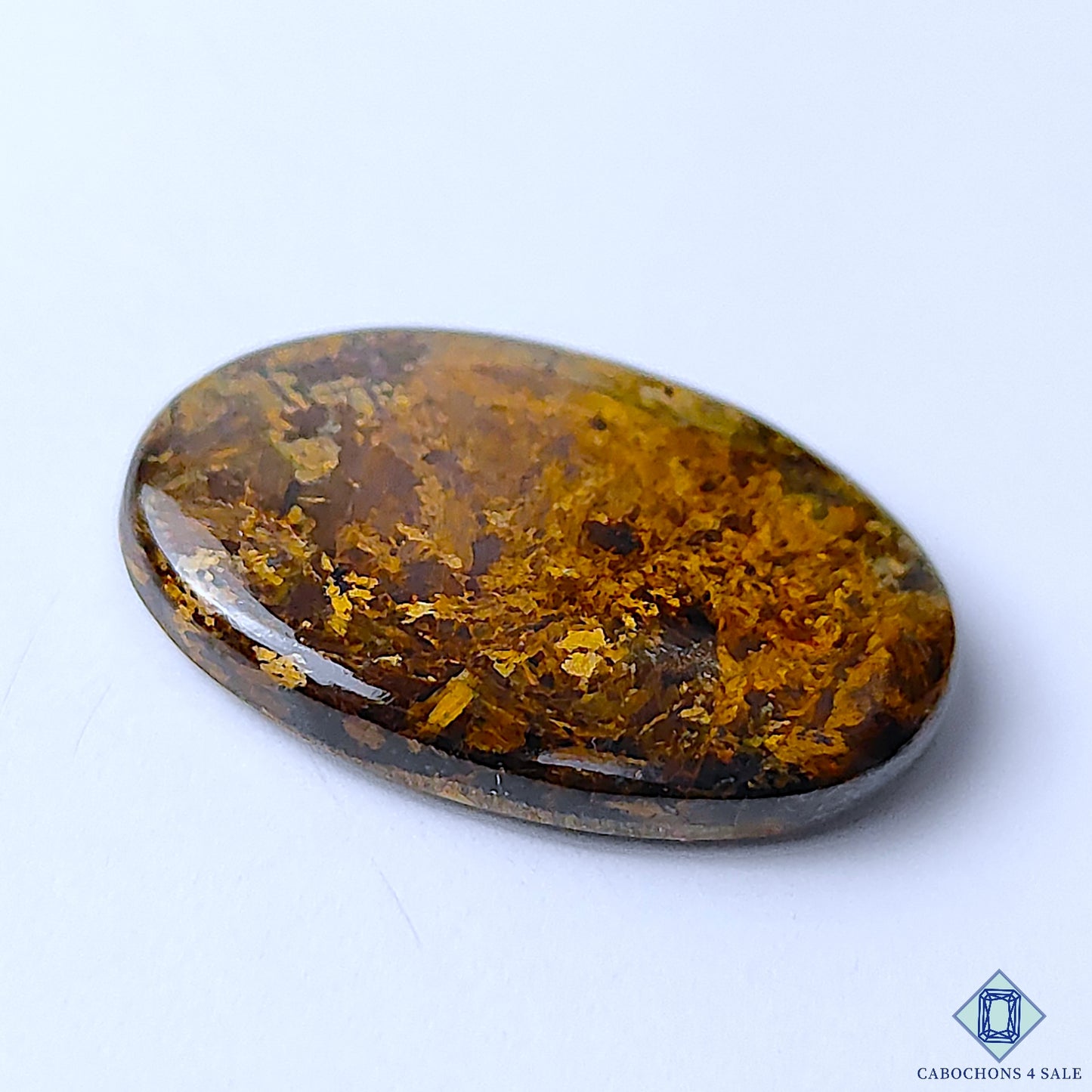 Bronzite