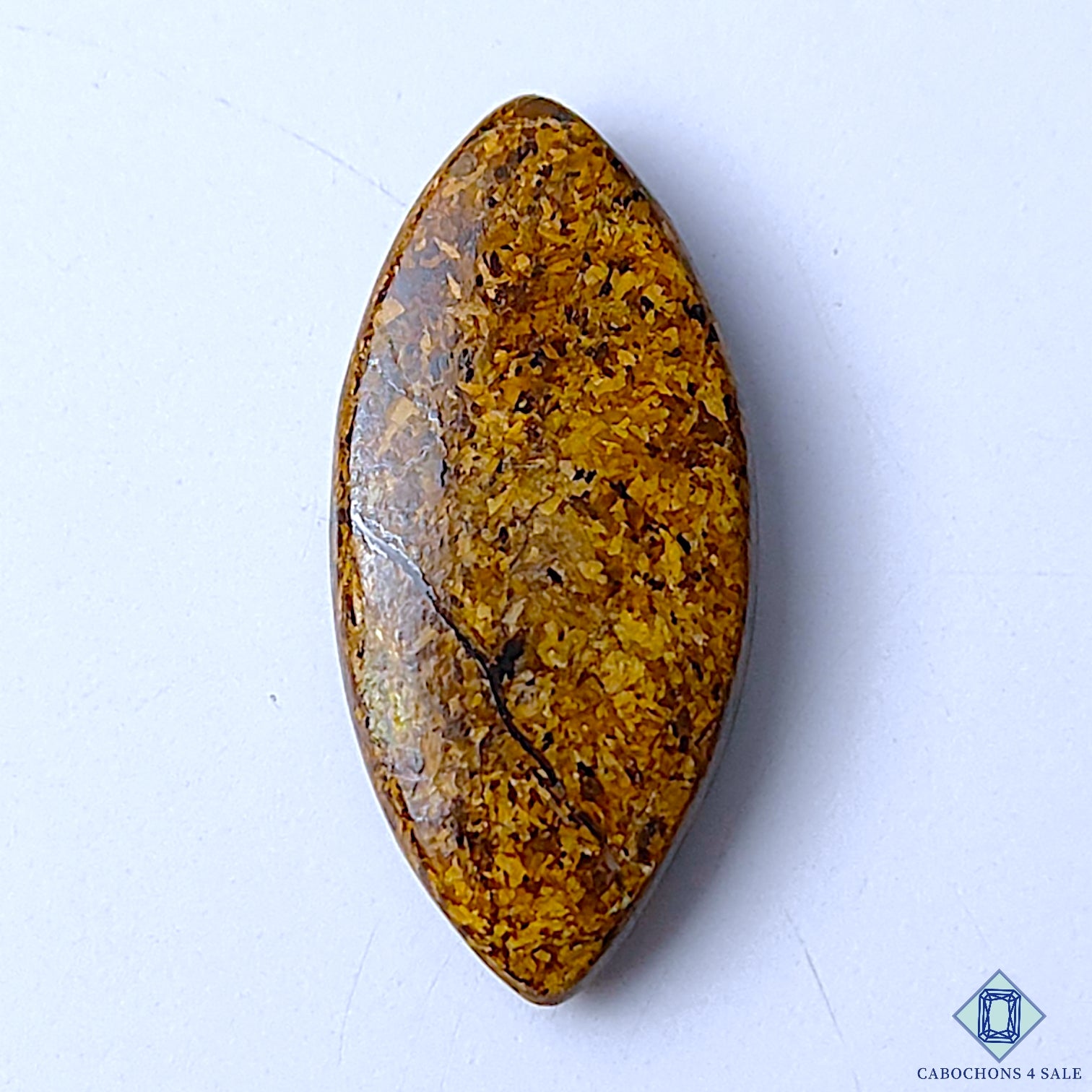 Bronzite