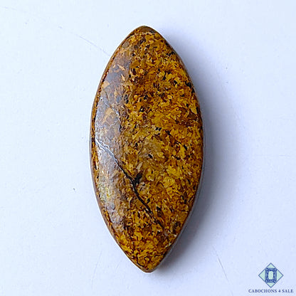 Bronzite