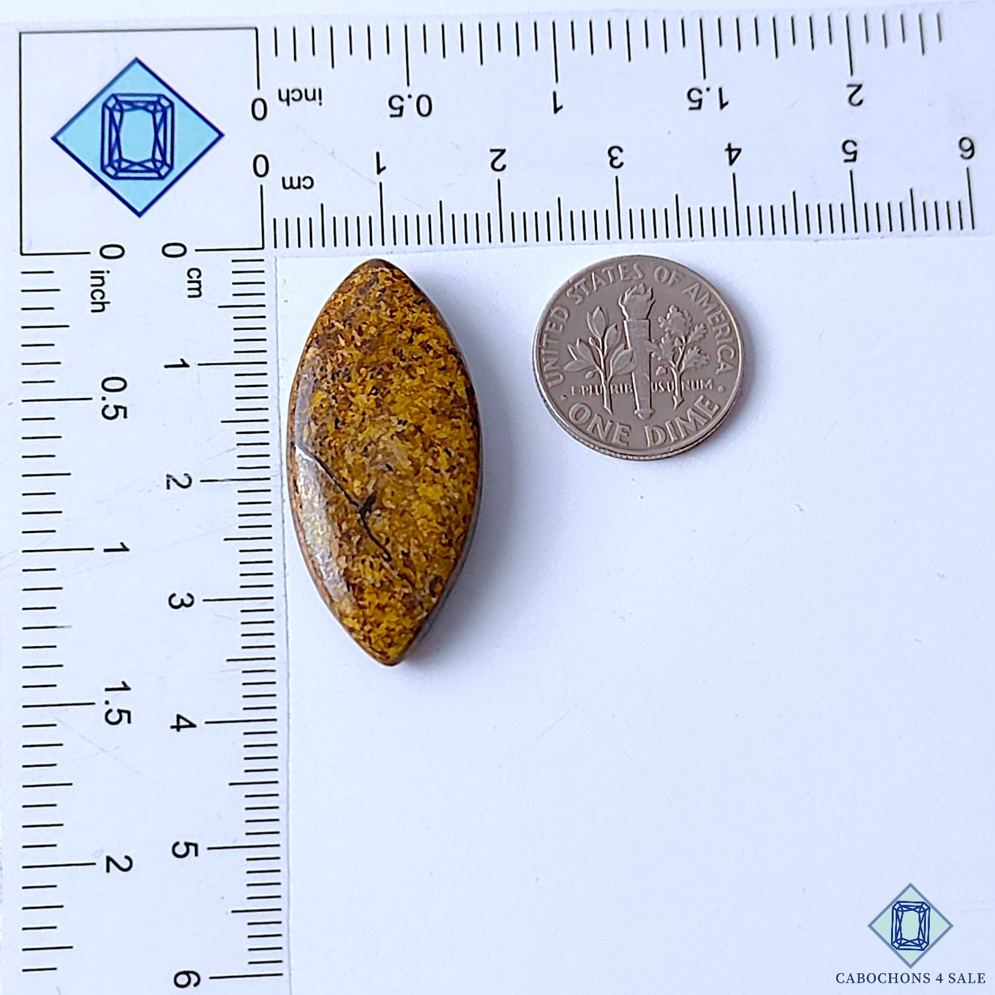 Bronzite