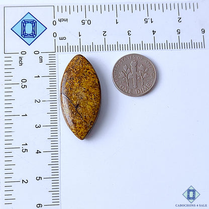 Bronzite