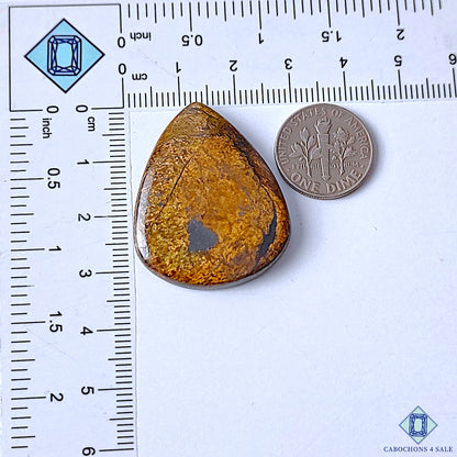 Bronzite