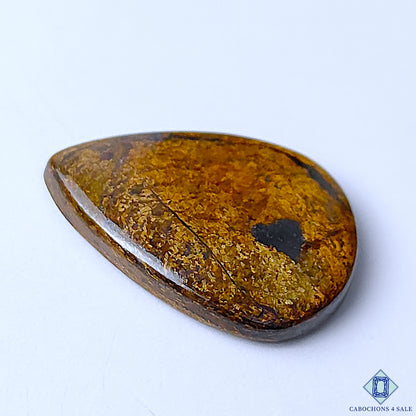 Bronzite
