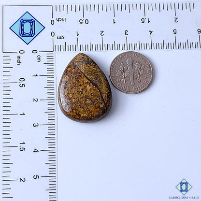 Bronzite