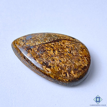 Bronzite