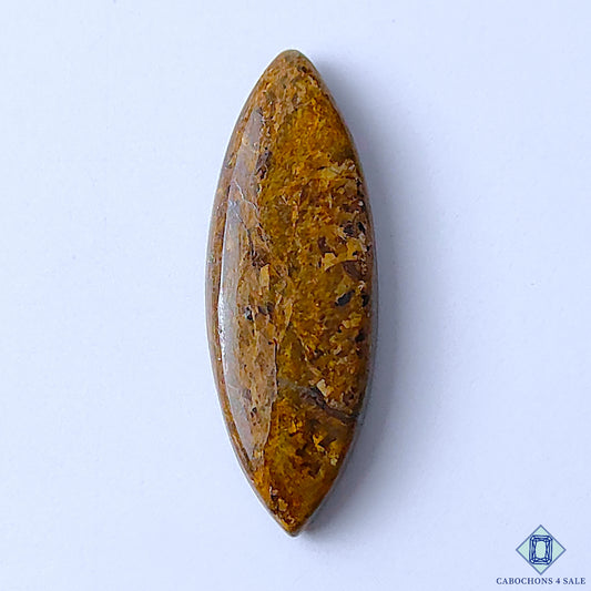 Bronzite