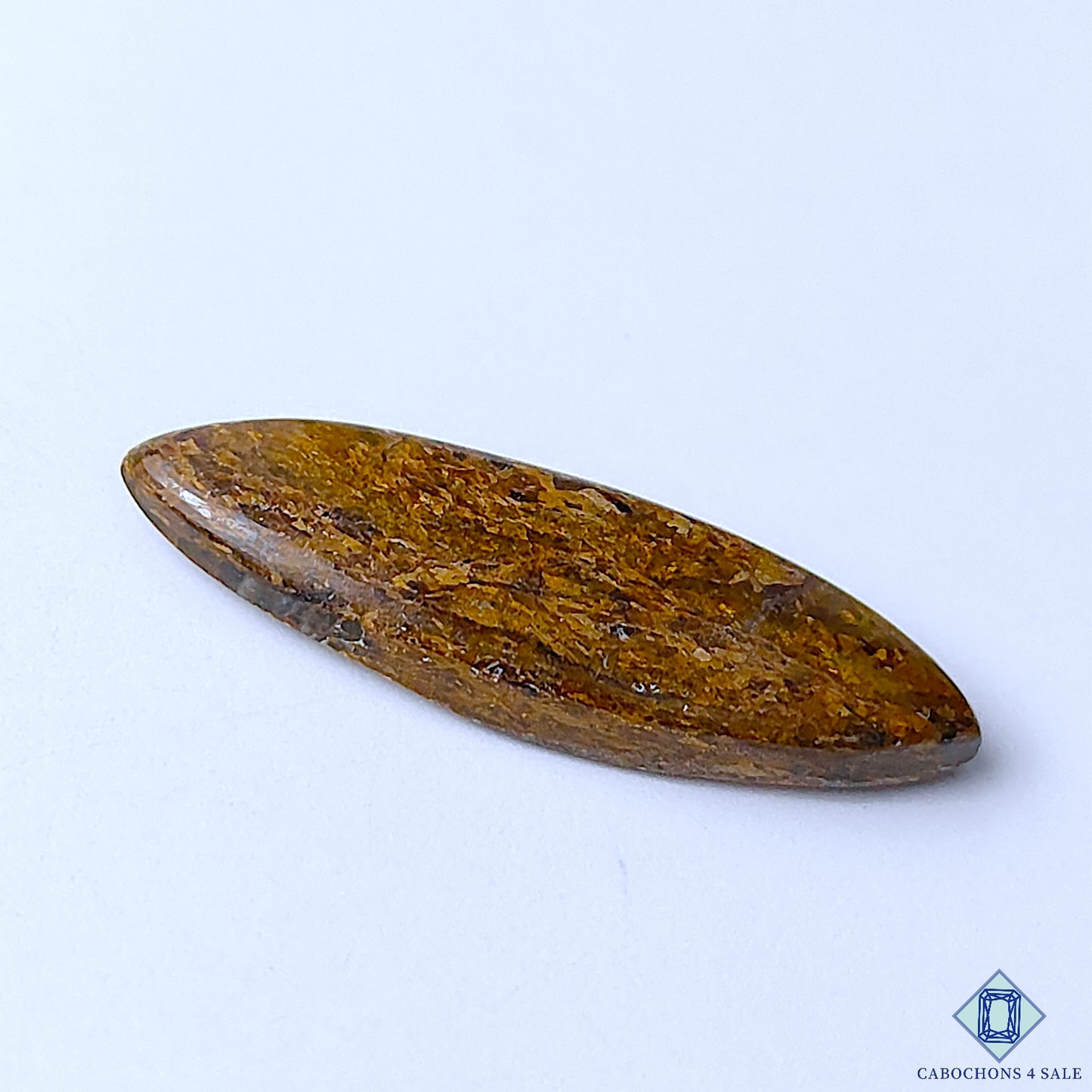 Bronzite