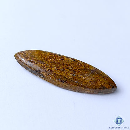 Bronzite