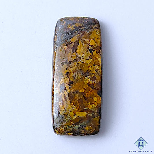 Bronzite