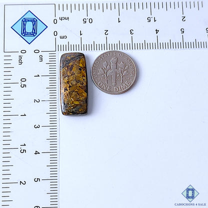 Bronzite