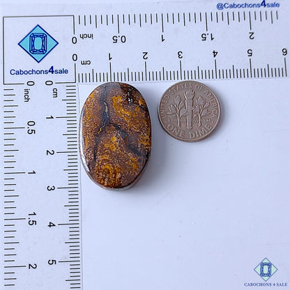 Bronzite