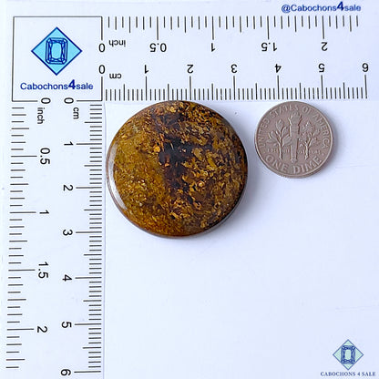 Bronzite