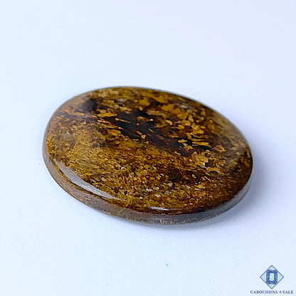 Bronzite