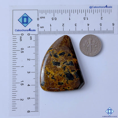 Bronzite