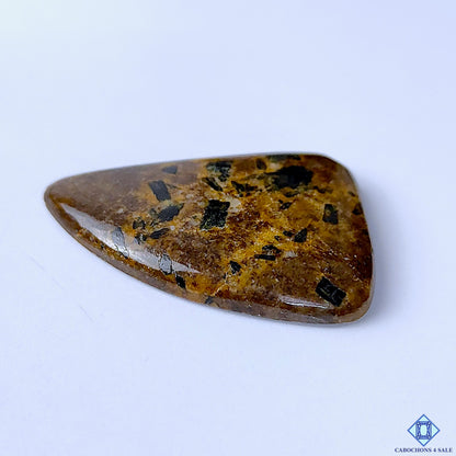Bronzite