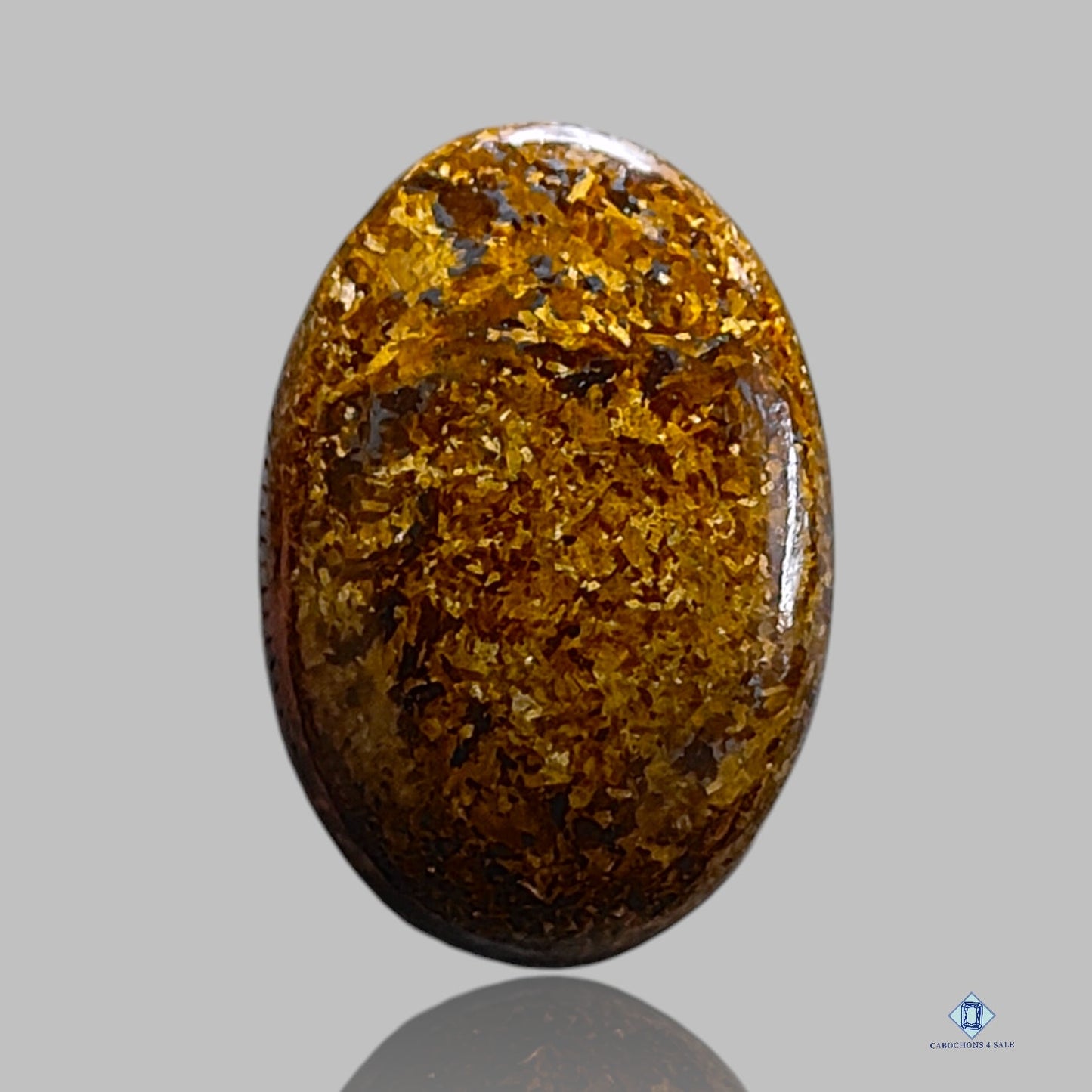 Bronzite