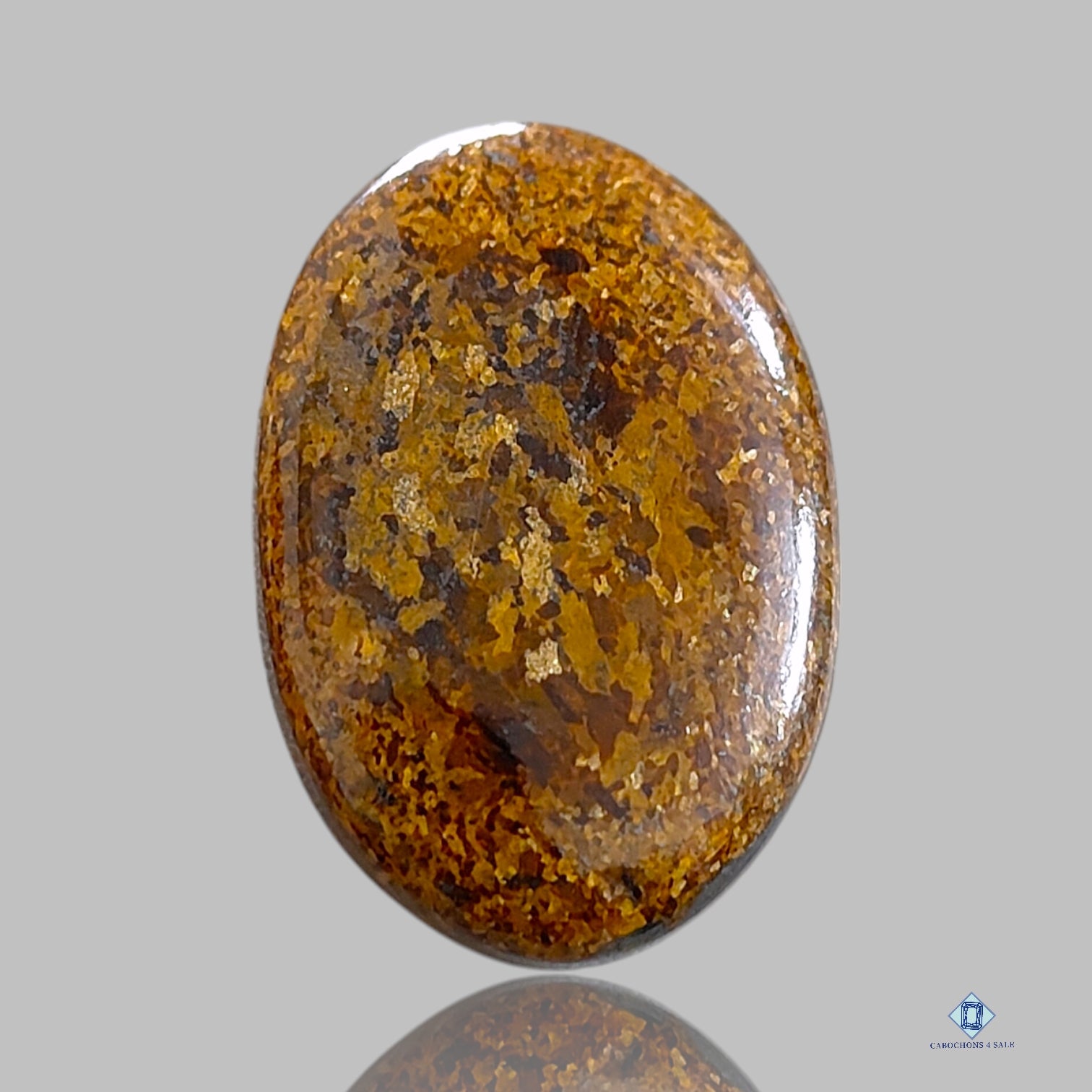 Bronzite