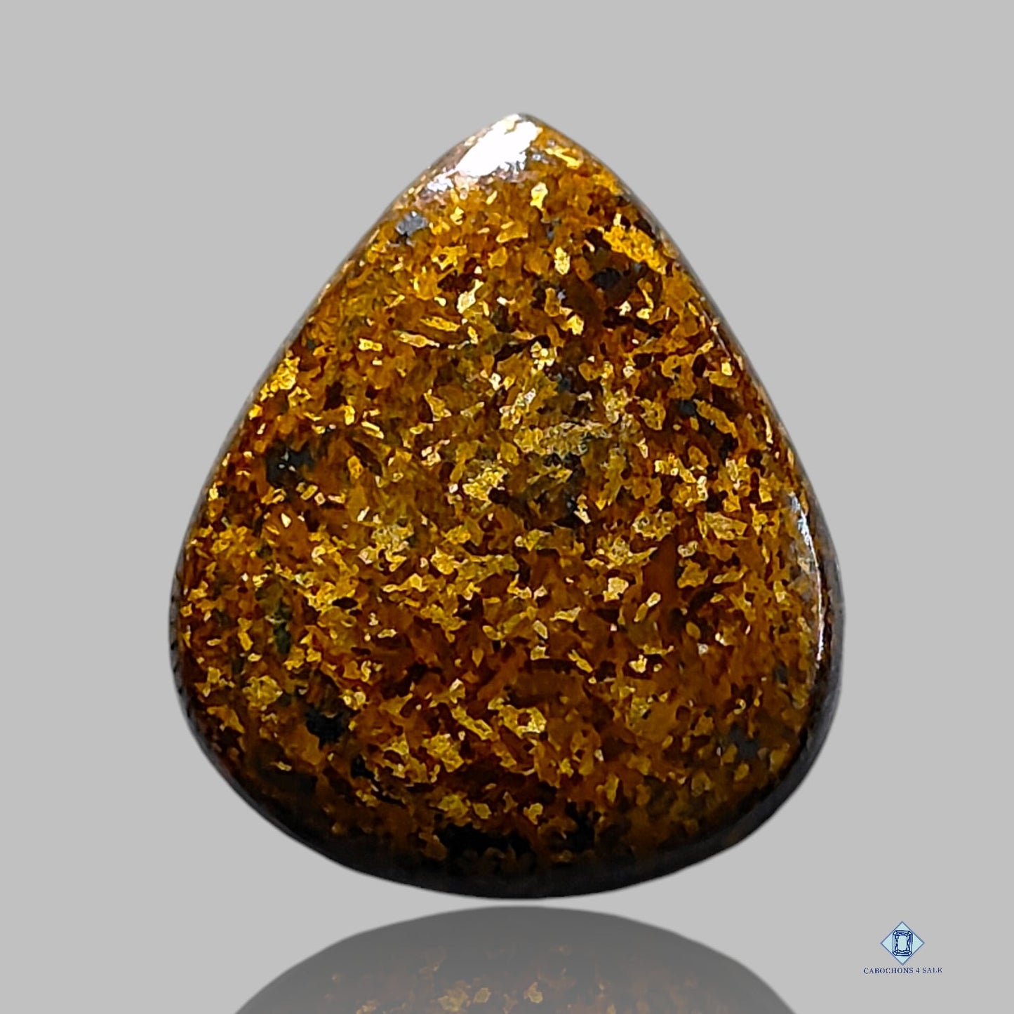 Bronzite