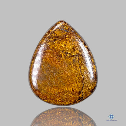 Bronzite