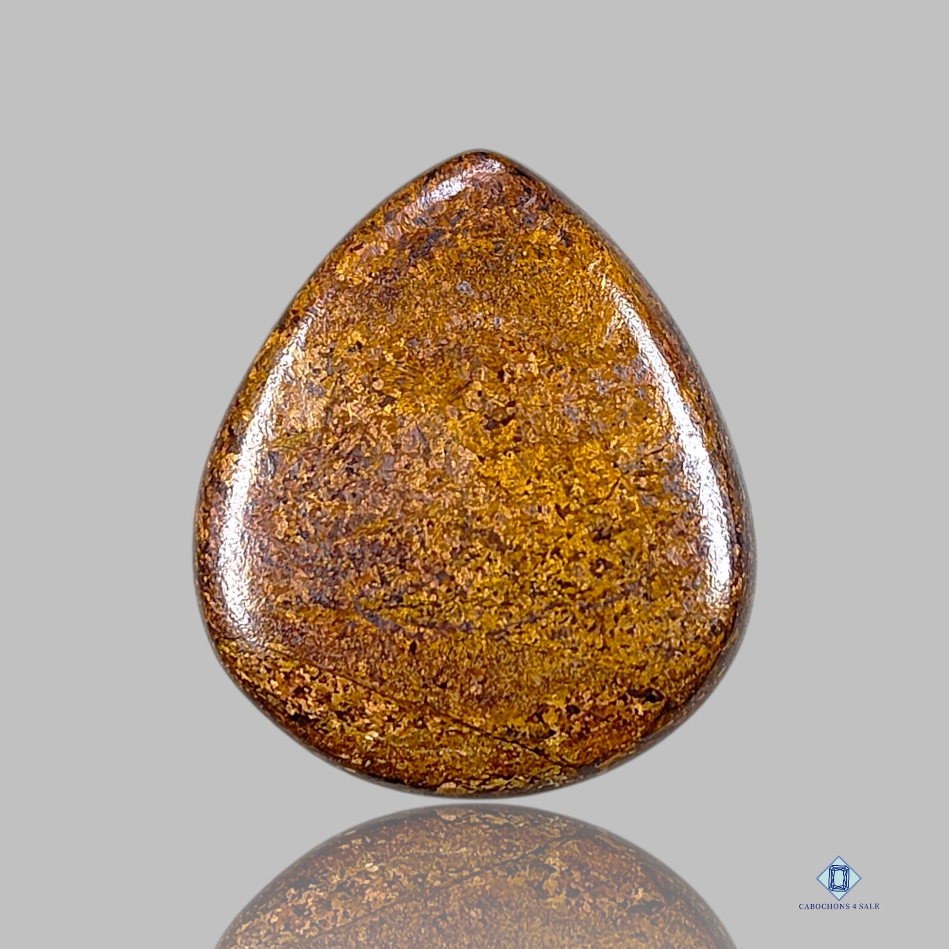 Bronzite