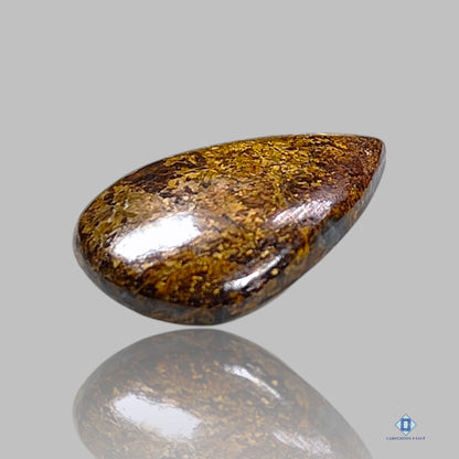 Bronzite Pear Cabochons